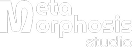 Metamorphosis Studio